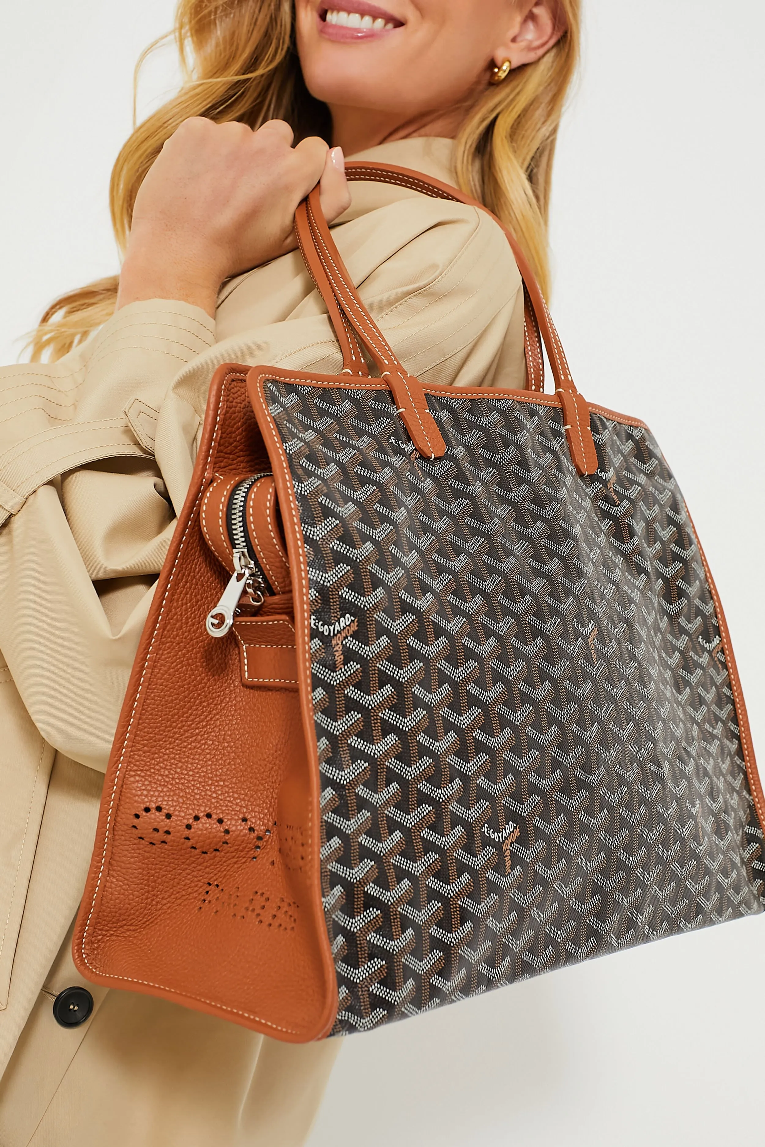 Goyard Brown Hardy PM Tote