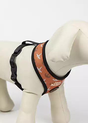 Star Wars Premium Dog Harness | Kaleidoscope